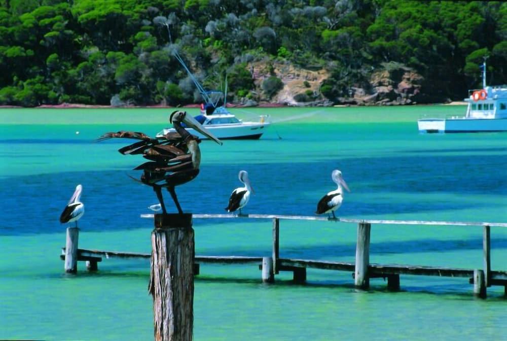 Pelican Motor Inn Merimbula Exteriör bild